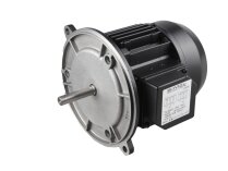 Motor eléctrico Baltur 52/3011, 0,55 kW, art: 5418.