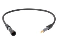 Cable de electrodo de ionización Weishaupt de 600 mm, art: 21710514602.