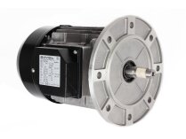 Motor eléctrico Riello, 3014206R