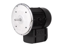 Motor eléctrico Weishaupt WM-D112/140-2/3K5, 21520407300