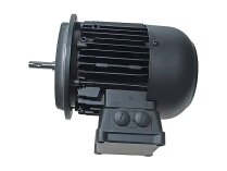 Motor eléctrico Weishaupt WM-D132/210-2/10K0