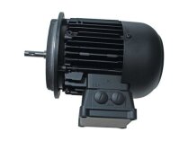 Motor Weishaupt W-D160/240-2/16K0 21871307010. Ref. Art: We21871307010, We2187130701-0.