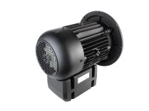 Motor eléctrico Weishaupt WM-D112/140-2/3K0 21520307370
