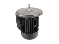 Motor eléctrico Weishaupt, 21520307370