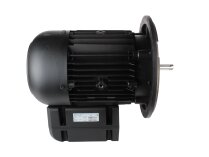 Motor eléctrico Weishaupt, 21520307370
