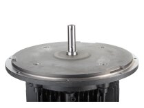 Motor eléctrico Weishaupt, 21520307370