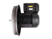 Motor eléctrico Weishaupt W-D160/240-2/22K